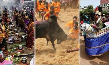 தமிழரின் தனிப்பெரும் விழா “பொங்கல்” பற்றி தெரிந்துக்கொள்வோம்!!