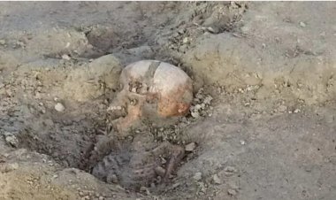 இலங்கை போரின்போது சரணடைந்த 29 சிறார்கள் புதைக்கப்பட்டார்களா?