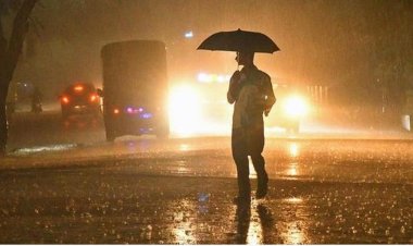 கோவை, நீலகிரி மாவட்டங்களில் நாளை முதல் 5 நாட்களுக்கு மிக கனமழை வாய்ப்பு