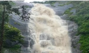 கொடைக்கானல் அருவியில் வெள்ளப்பெருக்கு; இளைஞர் பலி