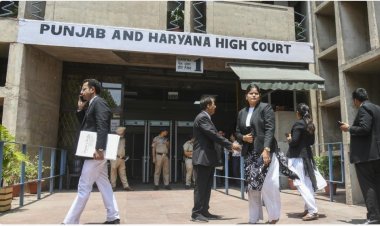 நட்பாக பழக கட்டாயப்படுத்துவது லவ் ஜிகாத்தில் ஒன்று: ஹரியானா நீதி​மன்றம் தீர்ப்பு