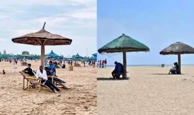 இனி மெரினா மட்டுமல்ல.. திருவான்மியூர், பாலவாக்கம், உத்தண்டி பீச்களும் ஃப்ளூ ஃப்ளாக் கடற்கரையாகிறது!..