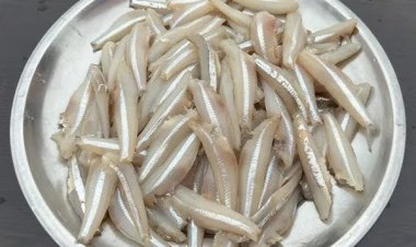 விலை ரொம்ப மலிவான இந்த மீன்... மாரடைப்பு - பக்கவாதத்தை தடுக்க பெஸ்ட் உணவு: