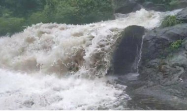 அருவிகளில் வெள்ளப் பெருக்கு: கோவை குற்றாலம் செல்ல சுற்றுலா பயணிகளுக்கு தடை