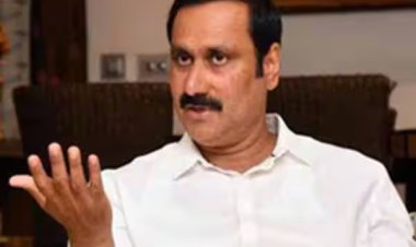 வணிக உரிமத் திட்டத்தால் பாட்டிகளின் வடை கடைகள் வரலாற்றில் மட்டுமே இருக்கும்; அன்புமணி