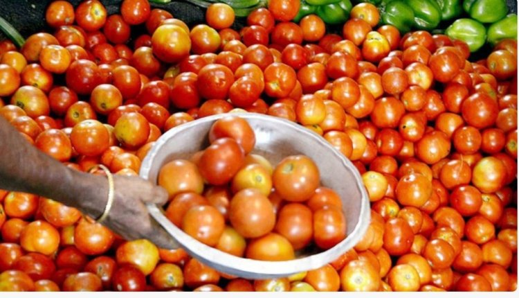 உயரும் தக்காளி,விலை சென்னை கோயம்பேடு சந்தையில் இன்று உயர்ந்து வருகிறது