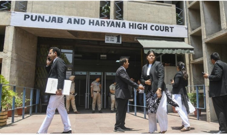நட்பாக பழக கட்டாயப்படுத்துவது லவ் ஜிகாத்தில் ஒன்று: ஹரியானா நீதி​மன்றம் தீர்ப்பு