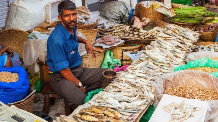 ஊட்டச்சத்துகள் நிறைந்த கருவாட்டில் ஒளிந்திருக்கும் ஆபத்து - குழந்தைகள் சாப்பிடலாமா?