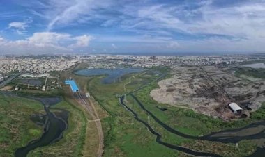 சென்னை பெருங்குடி சதுப்பு நிலத்தில் சத்தமில்லாமல் நடந்த பெரிய ஆக்கிரமிப்பு.. மாநகராட்சி அதிரடி..