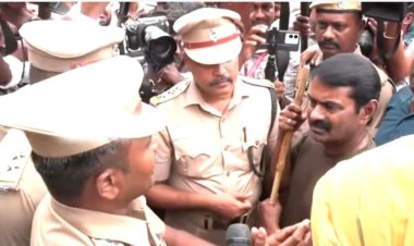 கால்நடைகள் மேய்ந்தால்தான் காடுகளில் தீ பரவாது: சீமான்