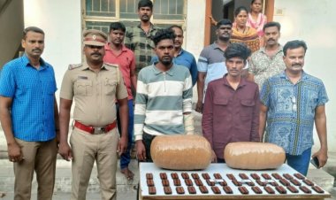 ஒடிசாவில் இருந்து கடத்தி வரப்பட்ட15 கிலோ கஞ்சா பறிமுதல்: செங்குன்றம் அருகே இருவர் கைது