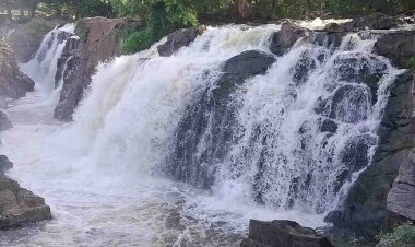 ஒகேனக்கல்லுக்கு நீர்வரத்து 14 ஆயிரம் கனஅடியாக அதிகரிப்பு