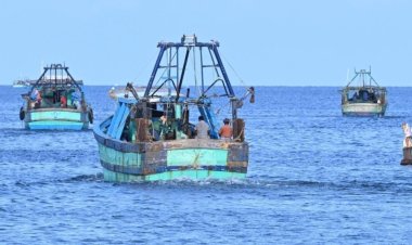தமிழக மீனவர்கள் 8 பேருக்கு ரூ.9 லட்சம் அபராதம், 16 பேருக்கு காவல் நீட்டிப்பு: இலங்கை கோர்ட் உத்தரவு