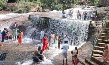 கோவை குற்றாலம் அருவியில் வெள்ளப்பெருக்கு - சுற்றுலாப் பயணிகளுக்கு அனுமதி இல்லை