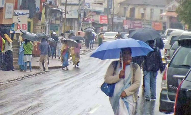 ரெட் அலர்ட் எதிரொலி: நீலகிரியில் நிலச்சரிவு அபாயமுள்ள பகுதிகளில் தீவிர கண்காணிப்பு