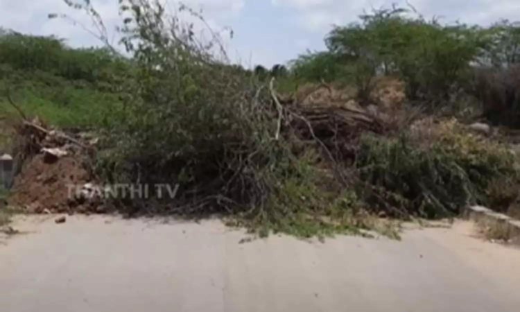 சீமை கருவேல மரங்களை அகற்றுவது தொடர்பான வழக்கு; அரசின் அறிக்கையை ஏற்க ஐகோர்ட்டு மறுப்பு