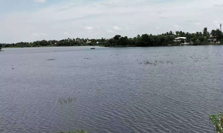 தொடர்மழையால் காவிரியில் நீர்வரத்து அதிகரிப்பு - தஞ்சை மாவட்ட ஏரிகளில் நீர்மட்டம் உயர்வு
